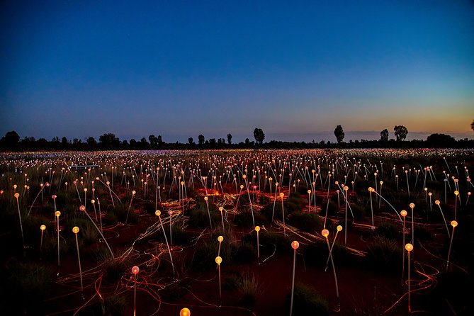 Uluru (Ayers Rock) Field of Light Sunrise Tour - Viator Support and Information