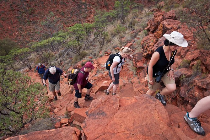 Uluru, Kata Tjuta and Kings Canyon Camping Safari From Alice Springs - Transport and Accommodation Insights