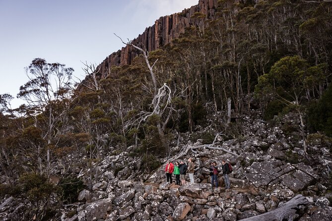 Under the Organ Pipes - Kunanyi/ Mt Wellington Guided Walk - Common questions