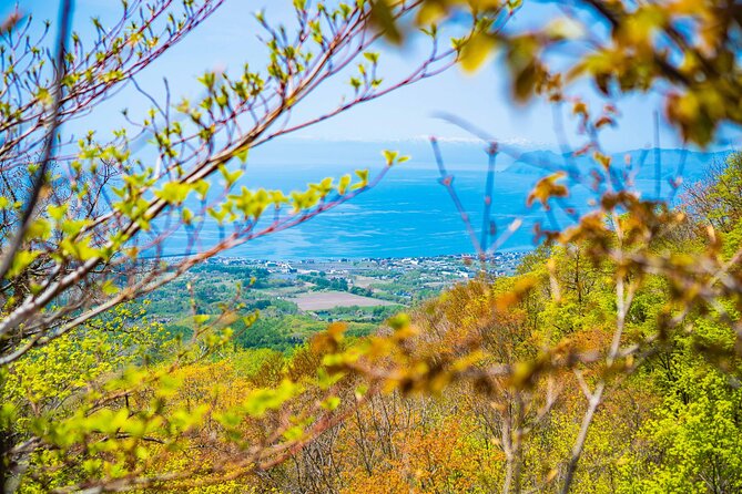 Usuzan Volcano Guided Hiking Private Tour - Additional Tour Details