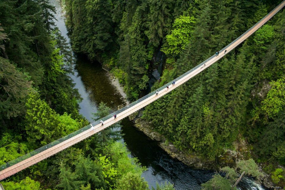 Vancouver: Capilano Suspension Bridge Park Entry Ticket - Key Points