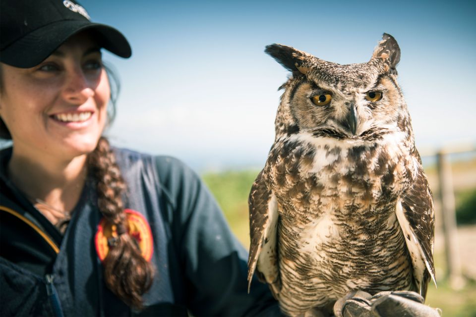 Vancouver: Grouse Mountain Admission Ticket - Weather Considerations