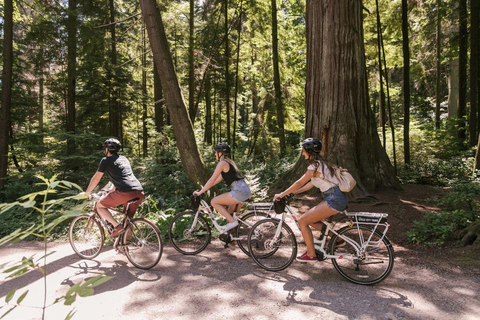 Vancouver: Half-Day City Highlights E-Bike Tour Age 16 - Additional Information