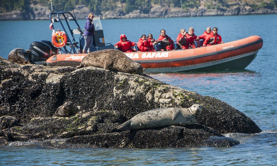 Vancouver: Howe Sound Fjords, Sea Caves & Wildlife Boat Tour - Inclusions