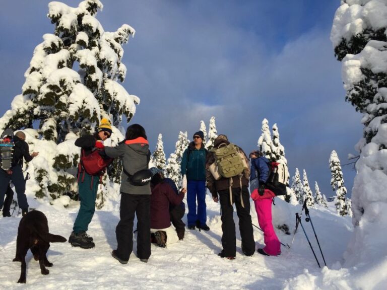 Vancouver: Panoramic View Snowshoeing Tour