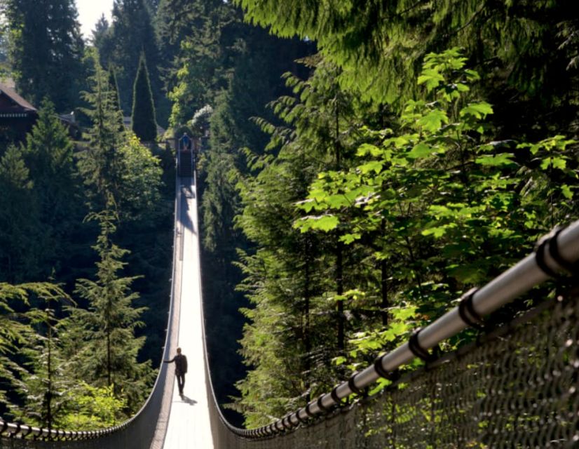 Vancouver: Small Group Tour W/Capilano & Grouse Mtn Lunch - Key Points