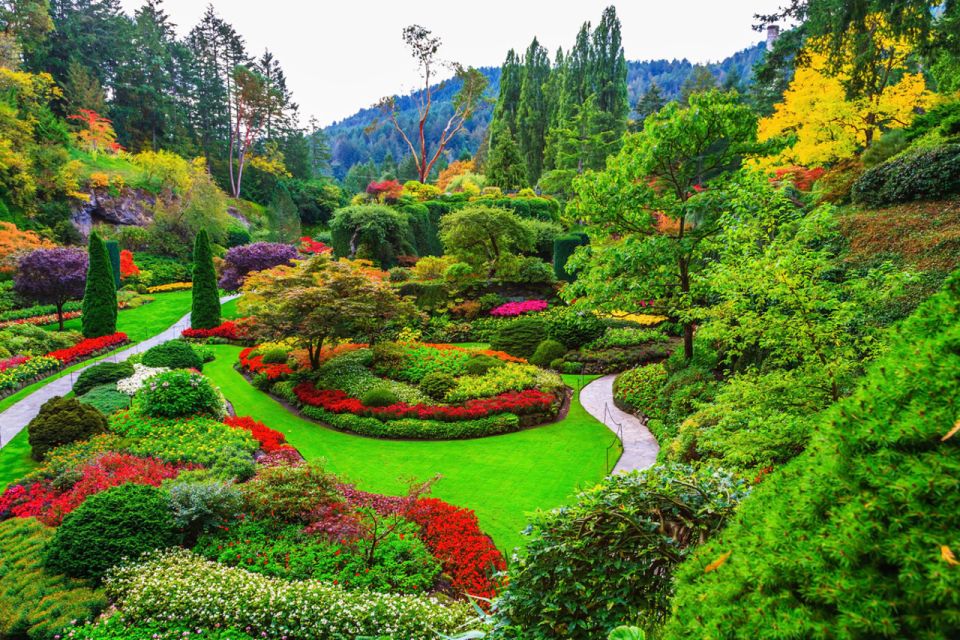 Victoria: Driving Tour W/ Malahat Skywalk & Butchart Gardens - Butchart Gardens Experience