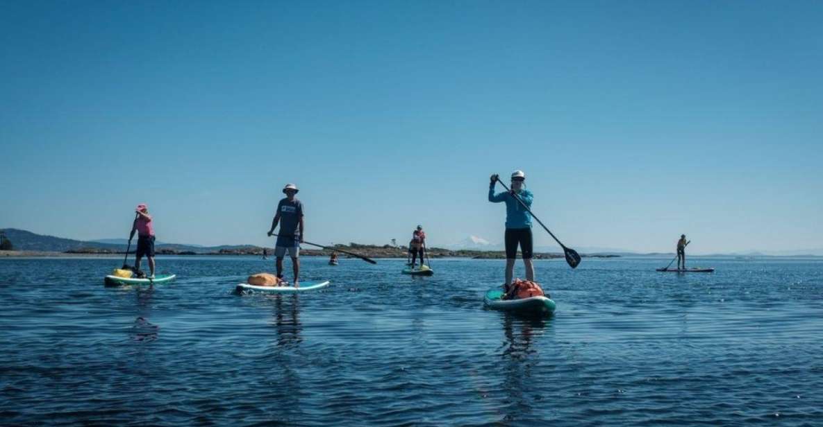 Victoria,BC: Learn to SUP and Tour - Know Before You Go