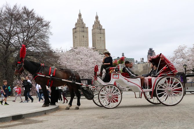 VIP Horse Carriage Ride Through Central Park (Up to 4 Adults) - Visitor Reviews and Experiences