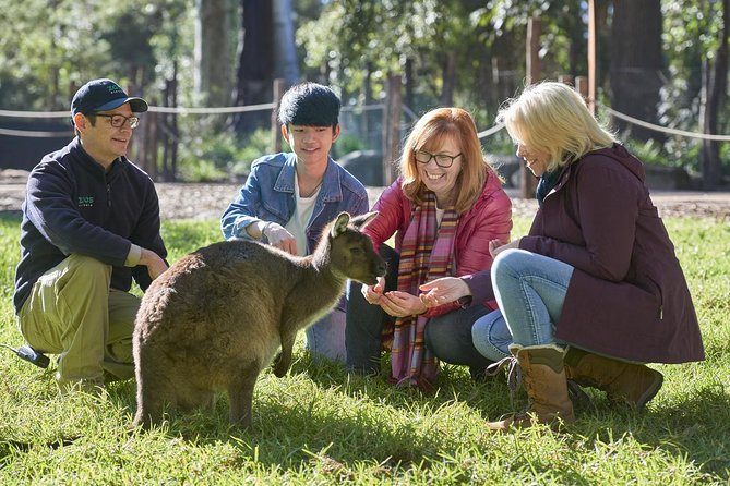 VIP Sanctuary Tour at Healesville Sanctuary - Excl. Entry - Common questions