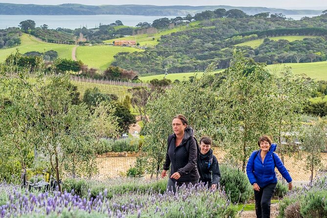 Waiheke Island History and Heritage Tour - Booking and Cancellation Policies