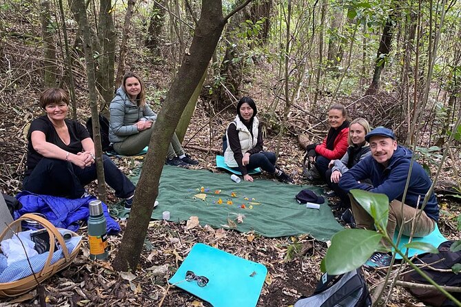 Waiheke Island Private Forest Therapy Walk - Accessibility Information