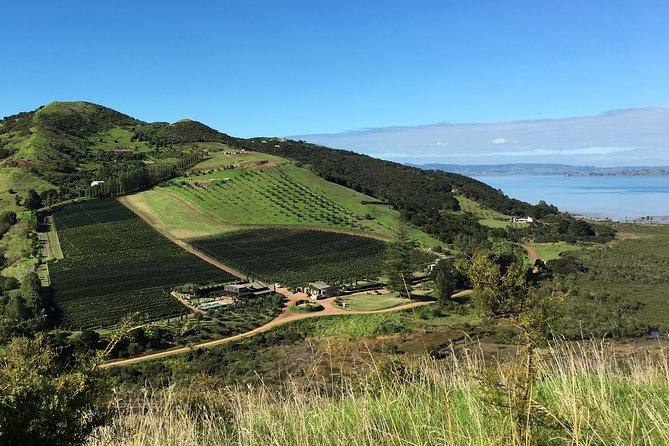 Waiheke Island Vineyards and Bush Walk - Preparation and Requirements