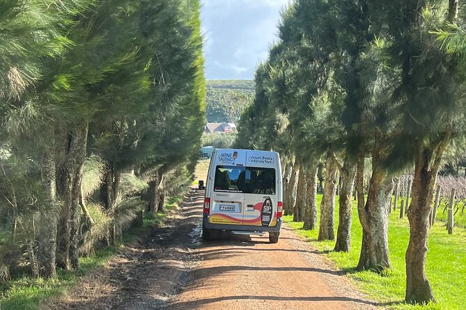 Waiheke Island Winery Tour - Traveler Photos