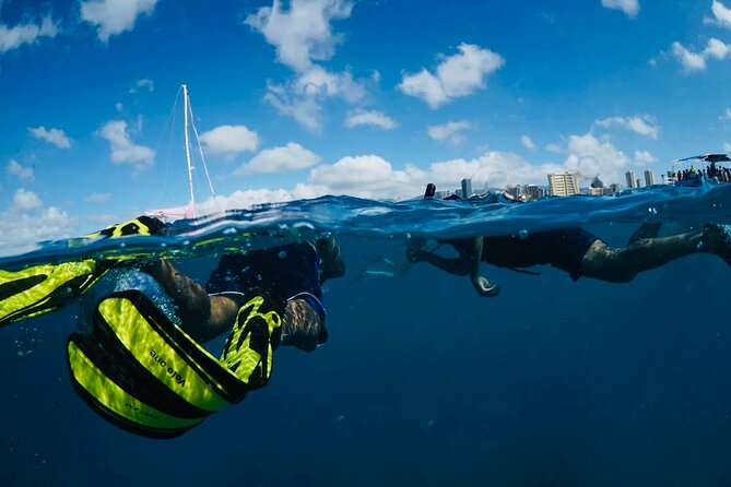 Waikiki Snorkel Tour - Safety Precautions