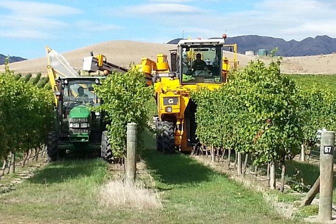 Waipara Wine Trail Afternoon Tour From Christchurch - Tour Experience Highlights