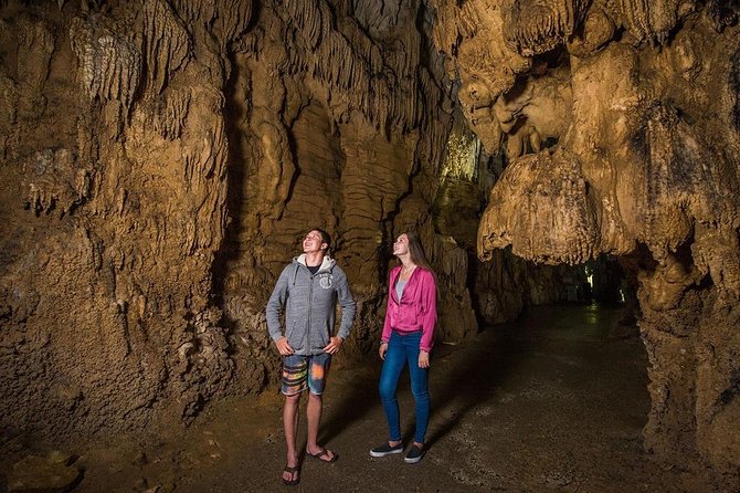 Waitomo Caves & Hobbiton Small Group Tour From Auckland - Cancellation Policy
