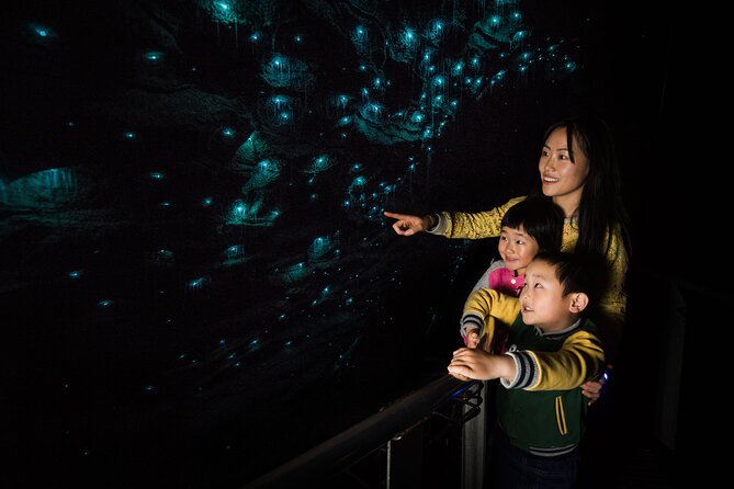 Waitomo Glowworm Cave Experience - Small Group Tour From Auckland - Tour Highlights and Recommendations