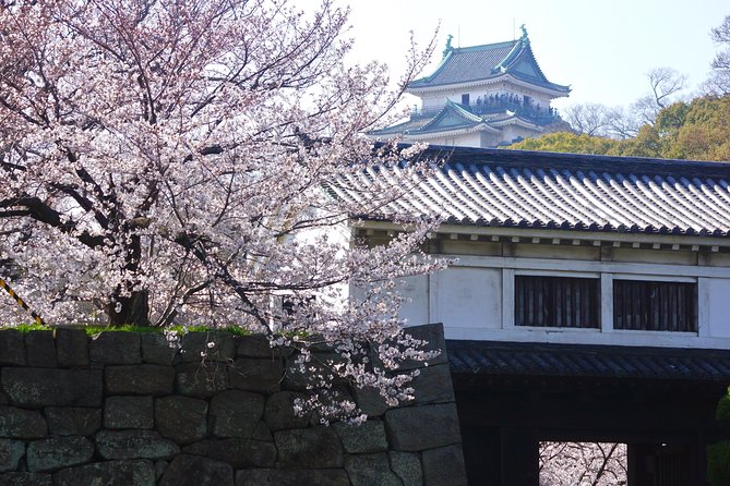 Wakayama Castle Town Walking Tour - Booking Options