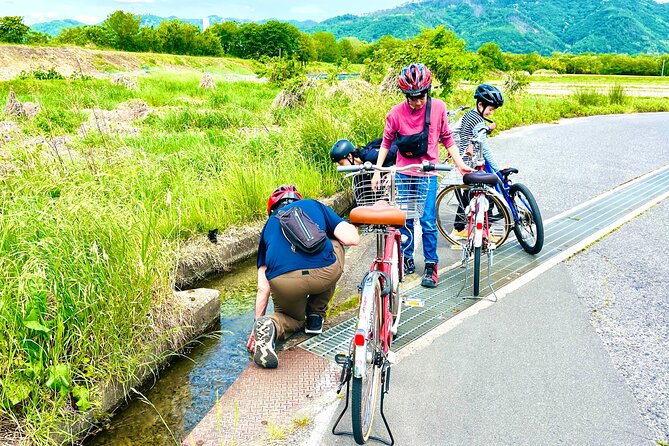 Wasabi Farm & Rural Side Cycling Tour in Azumino, Nagano - Reviews and Contact