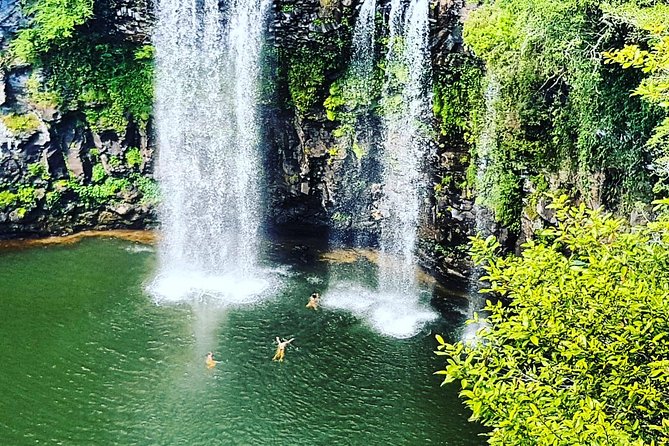 Waterfall, Rainforest & Winery Discovery Tour: Coffs Harbour - Customer Satisfaction