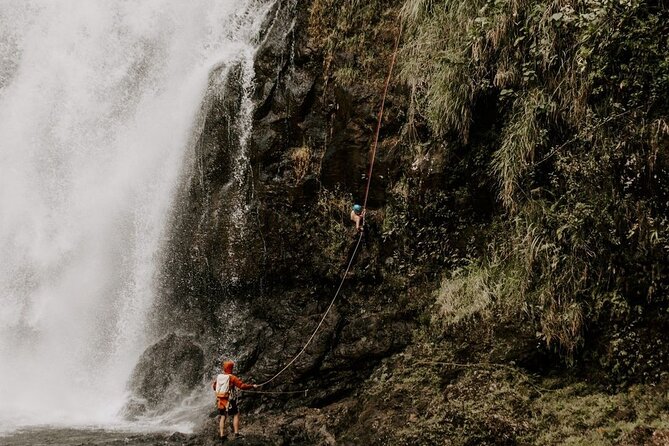 Waterfall Rappelling at Kulaniapia Falls: 120 Foot Drop, 15 Minutes From Hilo - Common questions