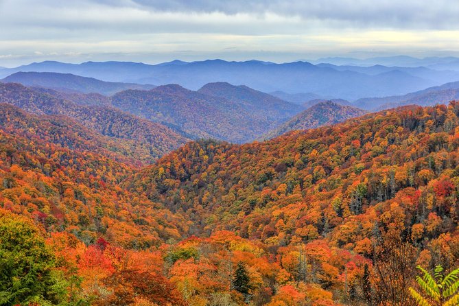 Waterfalls and Blue Ridge Parkway Hiking Tour With Expert Naturalist - Expert Naturalist Guides