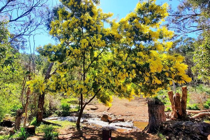 Waterfalls, Wildflowers & Wandoo Hiking Experience - Safety Precautions