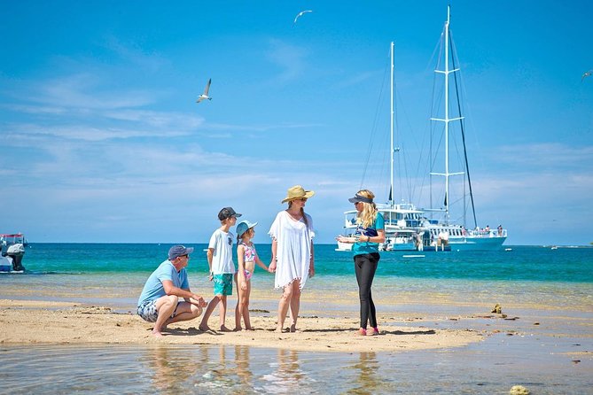 Wavedancer Low Isles Great Barrier Reef Sailing Cruise From Palm Cove - Additional Information