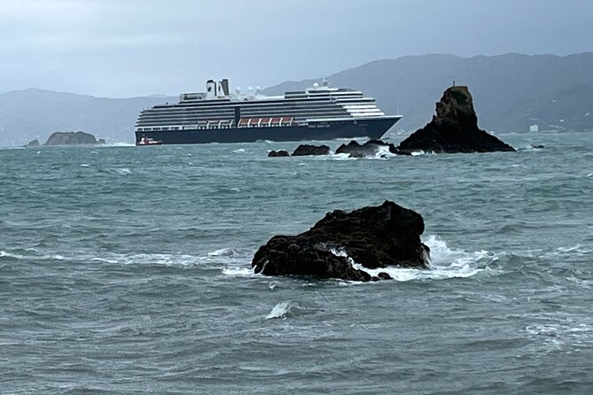 Wellington Private Tandem Tesla Tour - Tour Inclusions and Exclusions