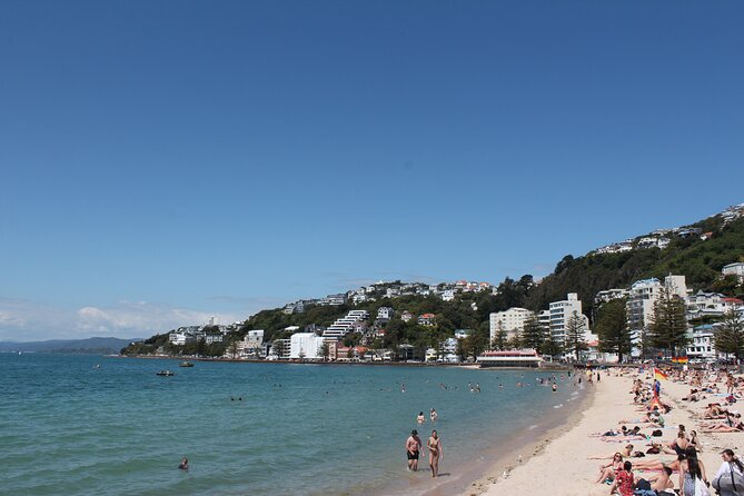 Wellington Scenic Full Day Tour - Pricing Details