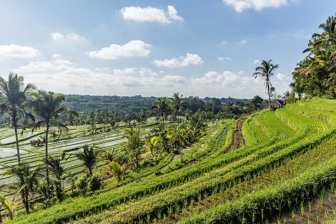 West Bali Tour: Taman Ayun, Ulun Danu Beratan, Jatiluwih Rice Terrace, Tanah Lot - Pickup and Mobile Ticket