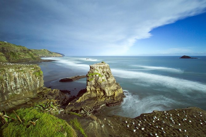 West Coast Discovery - Piha Beach or Muriwai Beach From Auckland - Viator Information and Booking