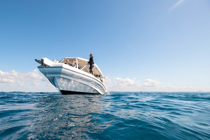 Whale Watching and Swim With Whales Cruise From Mooloolaba - Cancellation Policy and Refunds