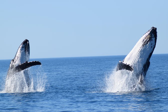 Whale Watching Dunsborough - Meeting Point and Pickup Details