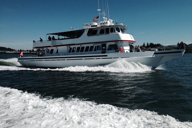 Whale Watching From Friday Harbor - Customer Reviews