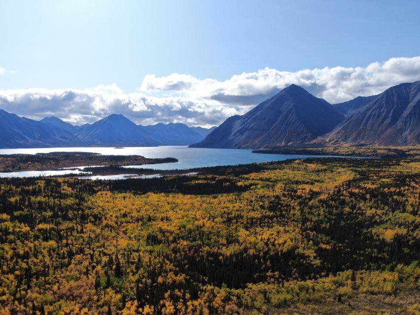 Whitehorse: Kluane National Park & Haines Junction Day Trip - Booking Details