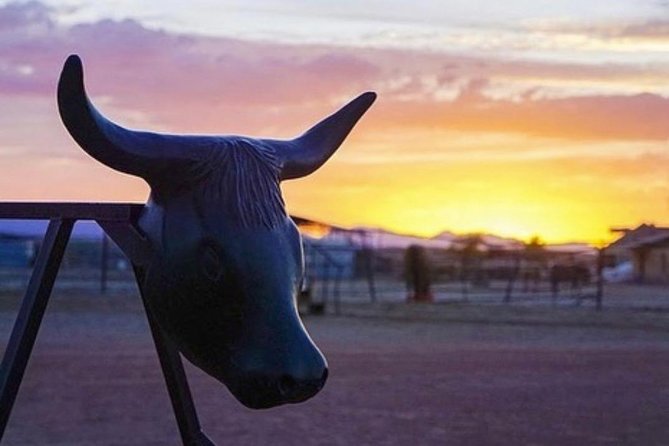 Wild West Sunset Horseback Ride With Dinner From Las Vegas - Customer Reviews and Feedback