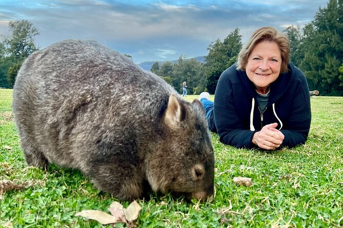 Wild Wombat and Kangaroo Day Tour From Sydney - Guide Appreciation