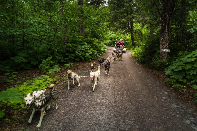 Wilderness Dog Sled Ride and Tour in Seward - Meeting and Pickup Information
