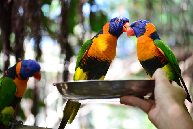 Wildlife Habitat Port Douglas - Visitor Experiences and Customer Feedback