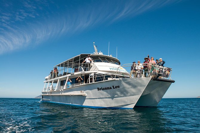 Wilsons Prom Whale Cruise - Cancellation Policy