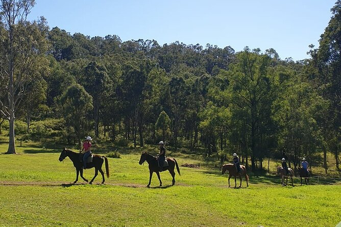 Wine and Horses A Day Out of Sydney City - Guided Tour of Winemaking Process