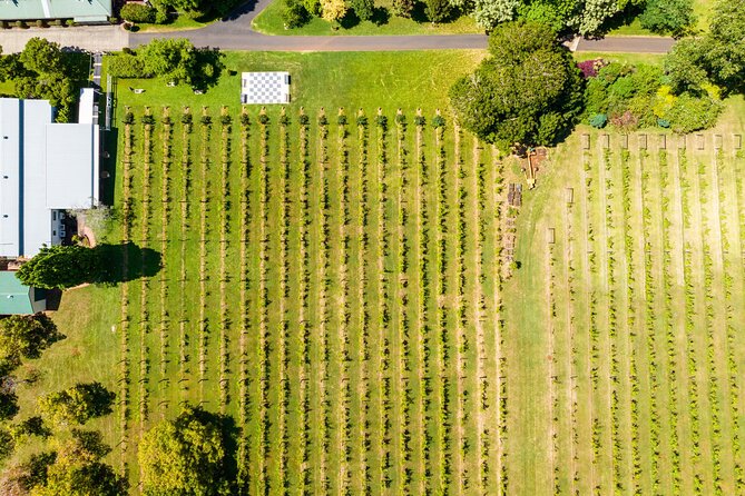 Wine Tasting Tour to Tamborine Mountain - Cancellation Policy