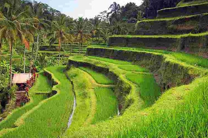 Wonderful Of Ubud Tours - Cancellation Policy