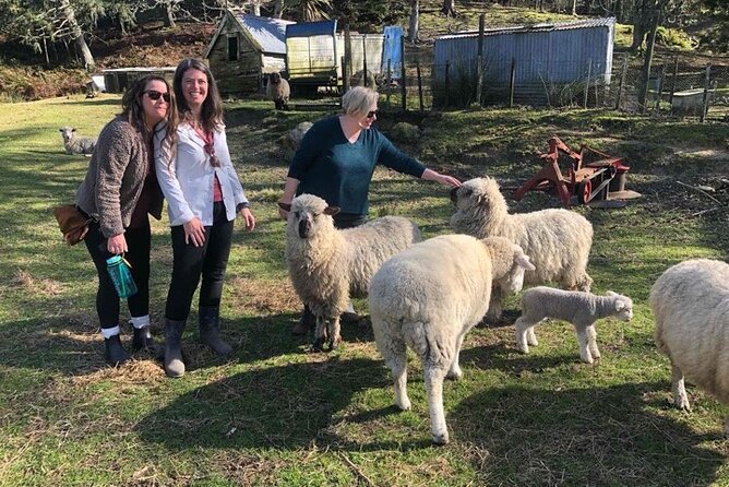 Wool Sheep Farm Experience With Handmade Wool Hat in New Zealand - Inclusions