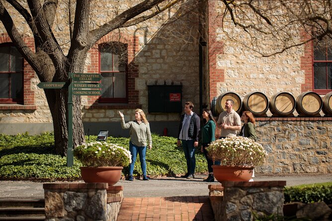 Yalumba Nursery & Grenache Discovery Tour Platter Lunch - Reviews and Ratings Overview