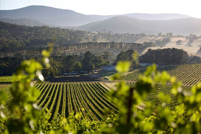 Yarra Valley 2-6 Guests With Lunch and Gin Tasting at Four Pillars - Booking Details