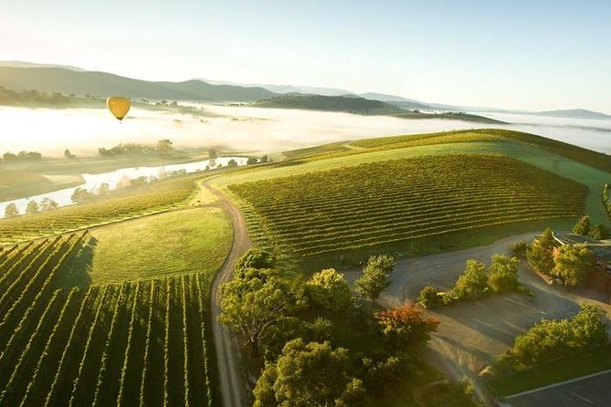 Yarra Valley Day Trip With Local Wine Tastings From Melbourne - Viator Information and Booking Details