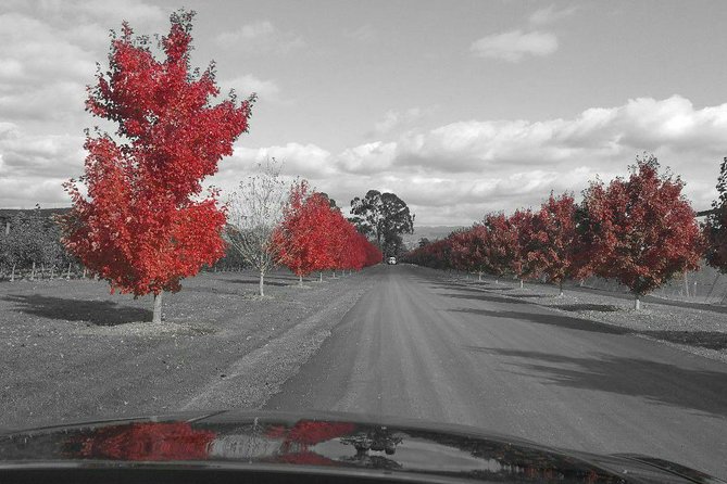 Yarra Valley Exceptional - Private Day Tour - for 2 - With Lunch - Customer Reviews